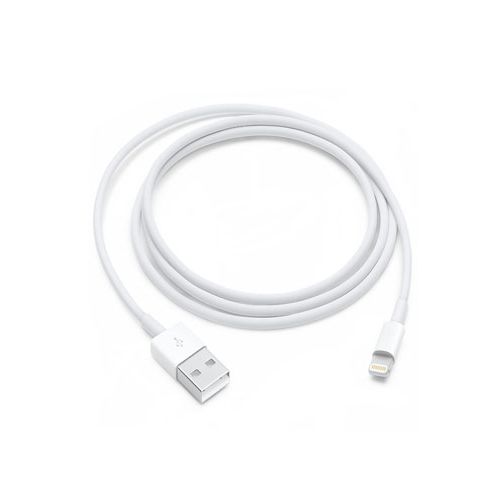 Lightning to USB Cable (1 m)