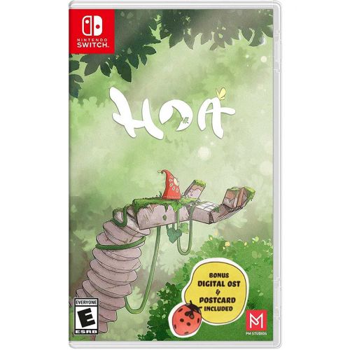 Nintendo Switch: Hoa - R1