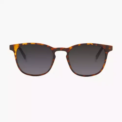 Barner Dalston Sunglasses - Tortoise