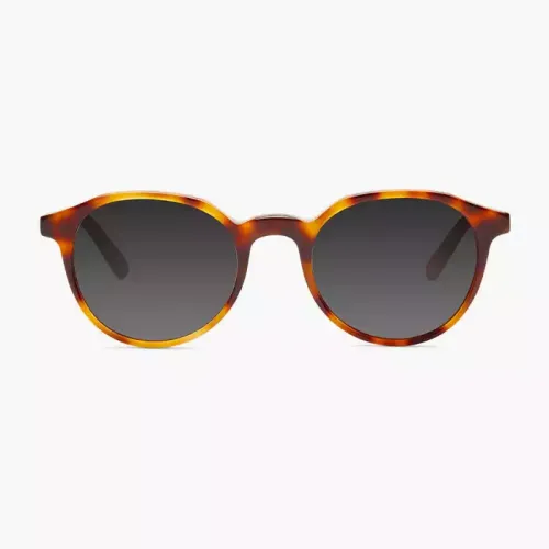 Barner Williamsburg Sunglasses - Havana