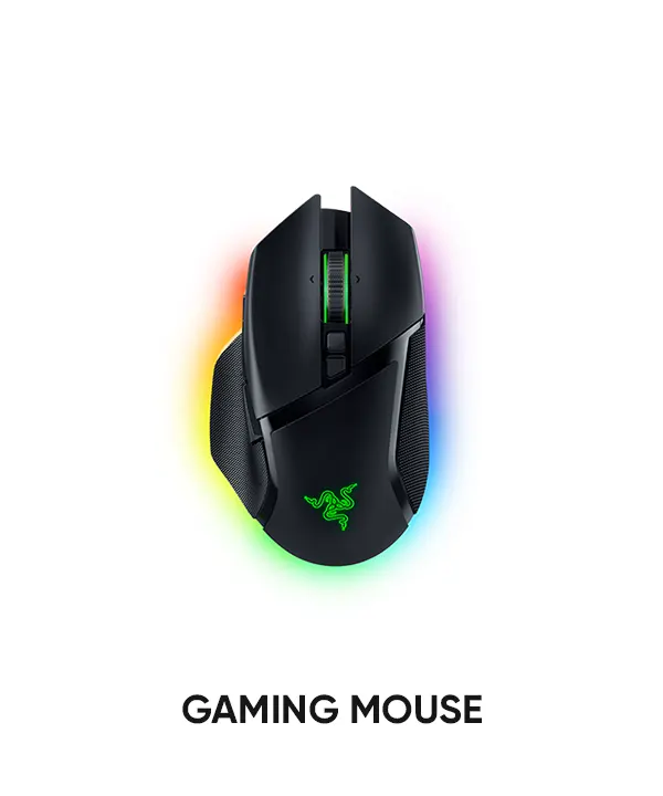 Mouse